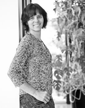 Conceptas Ansprechpartner